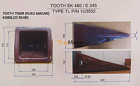 TOOTH TIGER (KUKU MACAN) 