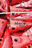 POINT TOOTH TIGER (LANCIP)