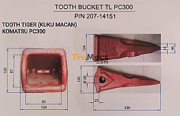 TOOTH TIGER (KUKU MACAN)